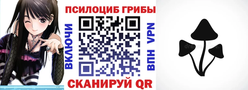 Псилоцибиновые грибы Psilocybine cubensis  Купить закладки  Невель 